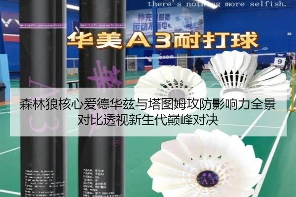 森林狼核心爱德华兹与塔图姆攻防影响力全景对比透视新生代巅峰对决